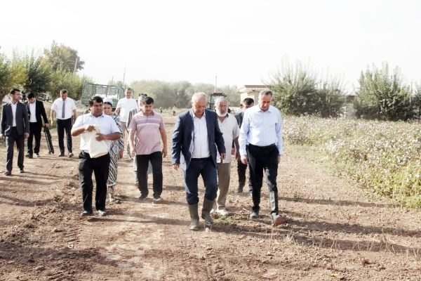 Ёвон: рушди саноат, пахтаи рекордӣ ва мактабҳои мардумӣ